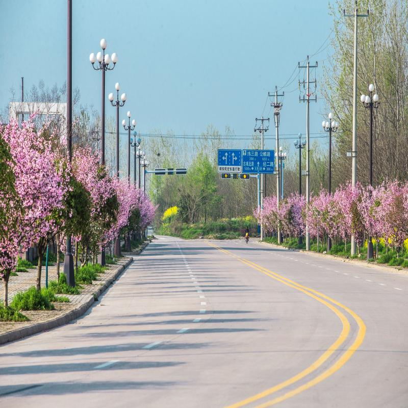 沿途皆風景，欣賞舒城經濟開發區“路之美”